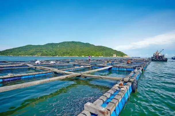 珠海市海淼水產公司引進我司水產品質量檢測儀