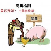 病害肉檢測儀的使用優勢及特點
